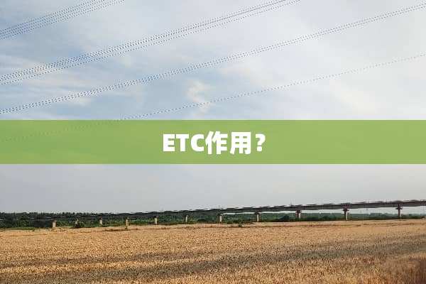 ETC作用？