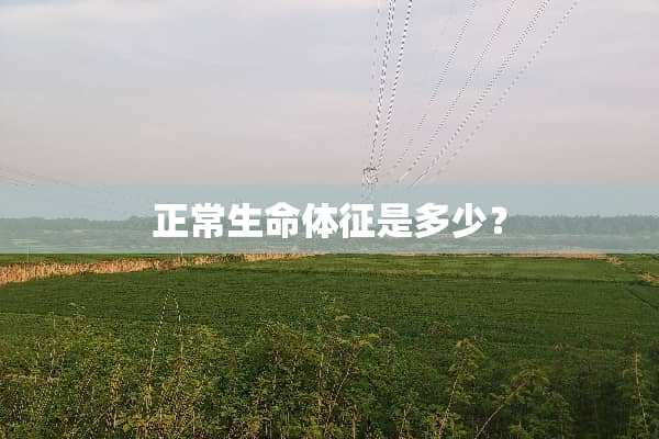 正常生命体征是多少？