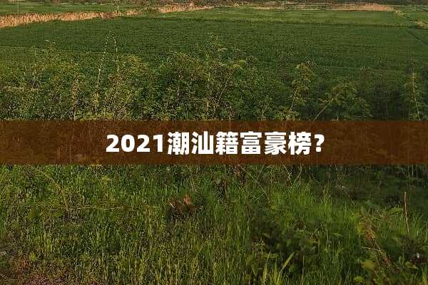 2021潮汕籍富豪榜？