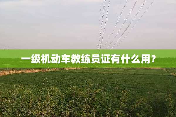 一级机动车教练员证有什么用？