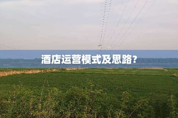 酒店运营模式及思路？