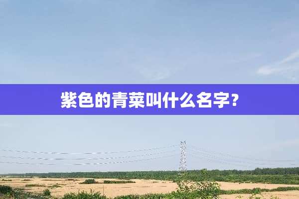 紫色的青菜叫什么名字？