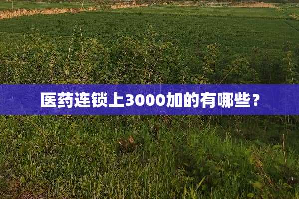 医药连锁上3000加的有哪些？