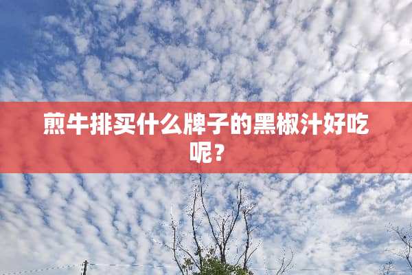 煎牛排买什么牌子的黑椒汁好吃呢？