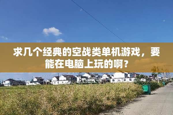 求几个经典的空战类单机游戏，要能在电脑上玩的啊？