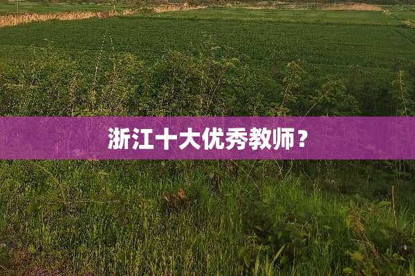 浙江十大优秀教师？