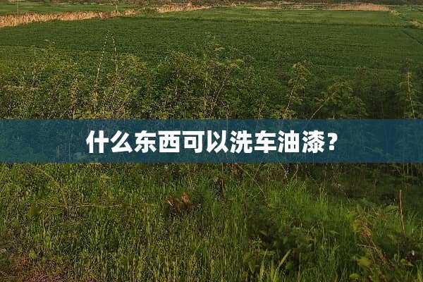什么东西可以洗车油漆？