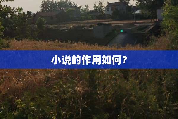 小说的作用如何？