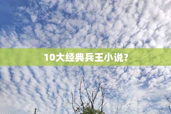 10大经典兵王小说？