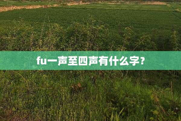 fu一声至四声有什么字？