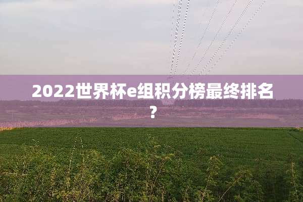 2022世界杯e组积分榜最终排名？
