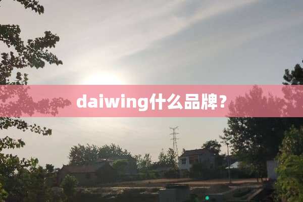 daiwing什么品牌？