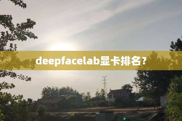 deepfacelab显卡排名？