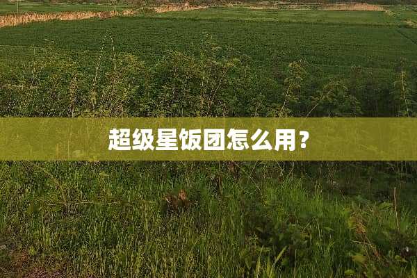 超级星饭团怎么用？