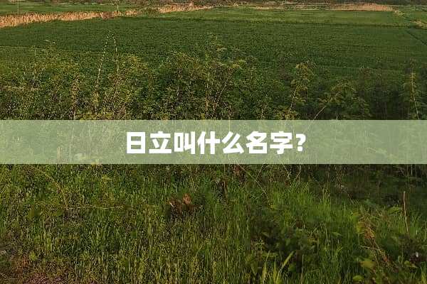 日立叫什么名字？