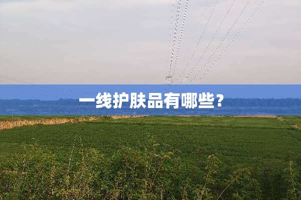 一线护肤品有哪些？