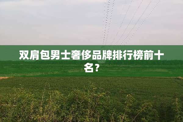 双肩包男士奢侈品牌排行榜前十名？