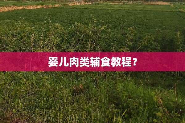 婴儿肉类辅食教程？