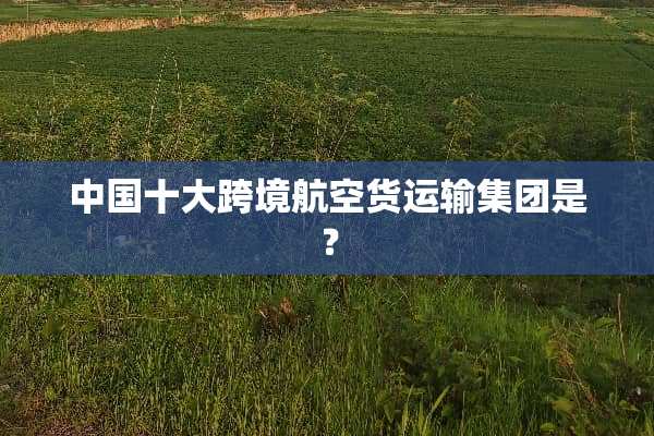 中国十大跨境航空货运输集团是？
