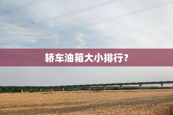 轿车油箱大小排行？