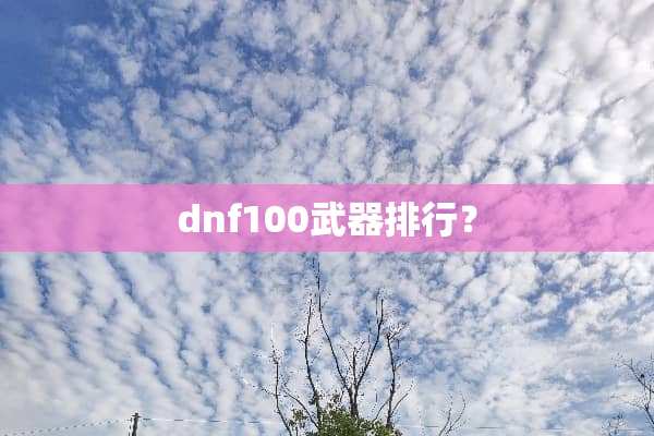 dnf100**排行？