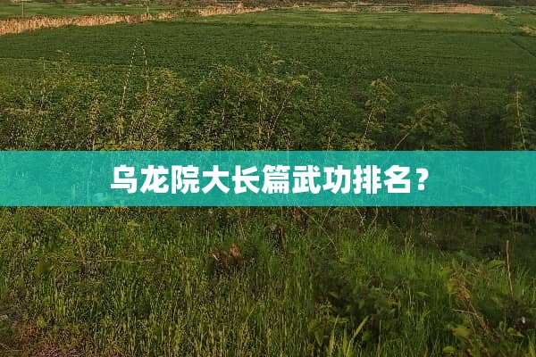 乌龙院大长篇武功排名？