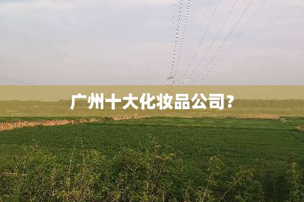 广州十大化妆品公司？