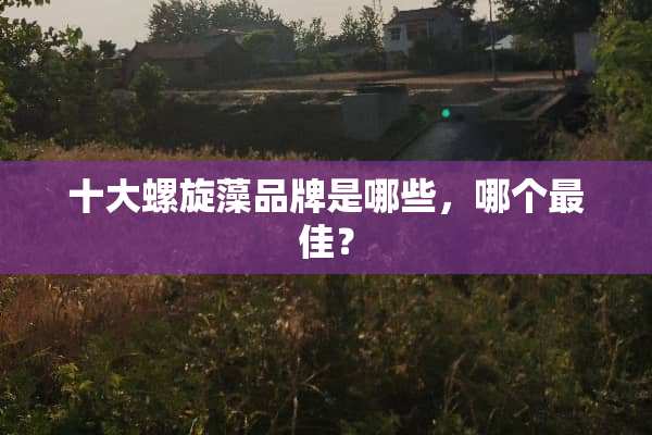 十大螺旋藻品牌是哪些，哪个最佳？