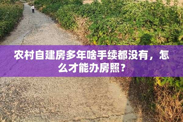 农村自建房多年啥手续都没有，怎么才能办房照？
