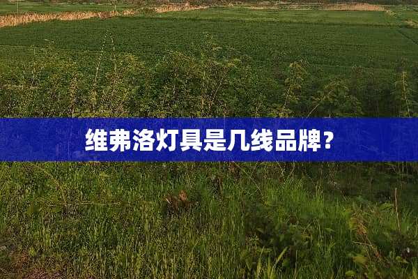 维弗洛灯具是几线品牌？