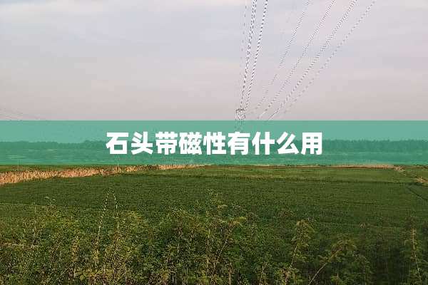 石头带磁性有什么用