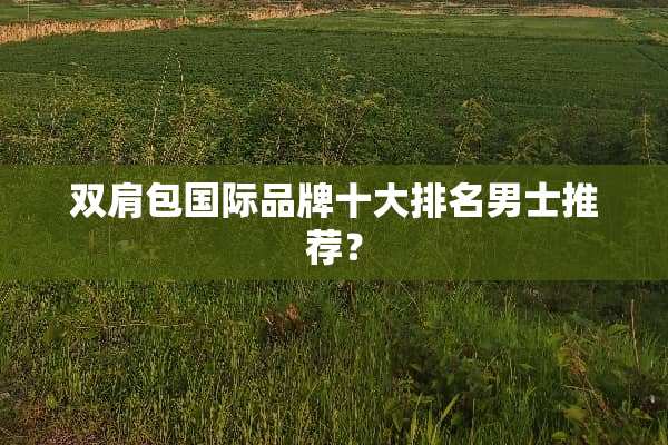 双肩包国际品牌十大排名男士推荐？