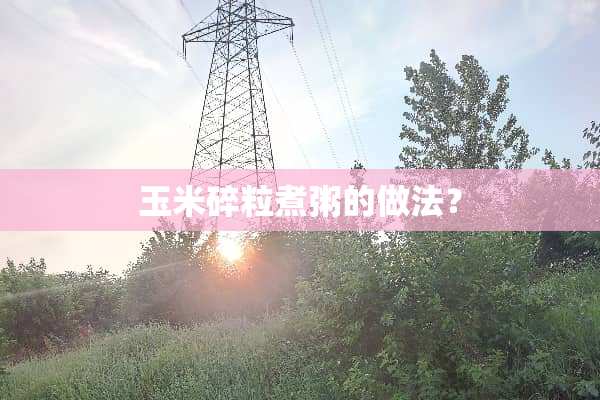 玉米碎粒煮粥的做法？