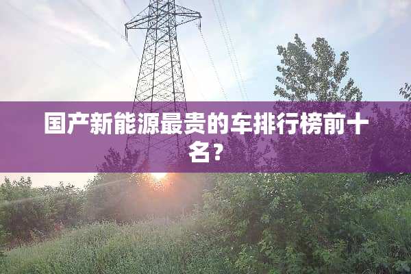 国产新能源最贵的车排行榜前十名？