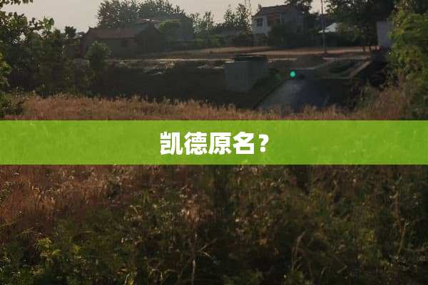凯德原名？