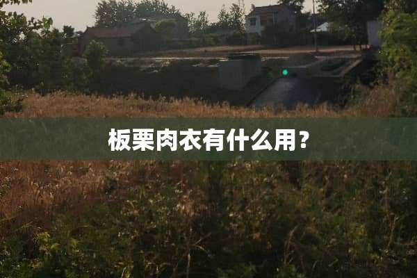 板栗肉衣有什么用？