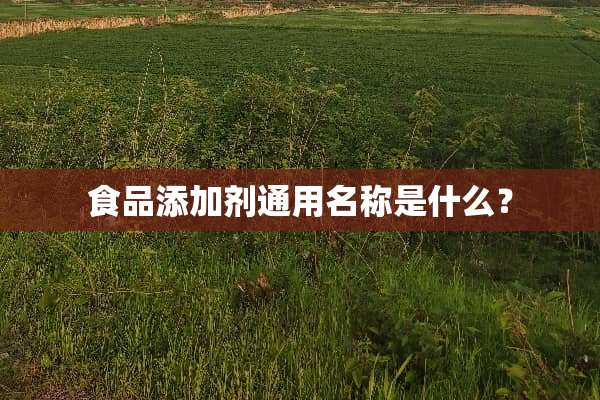 食品添加剂通用名称是什么？