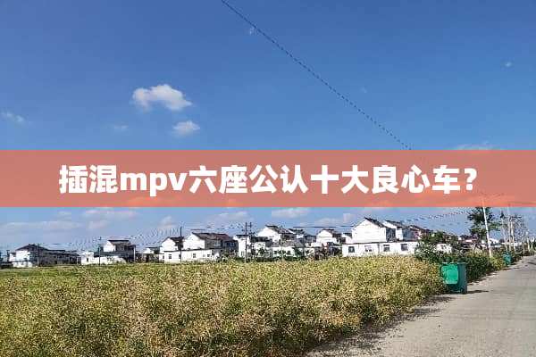 插混mpv六座公认十大良心车？