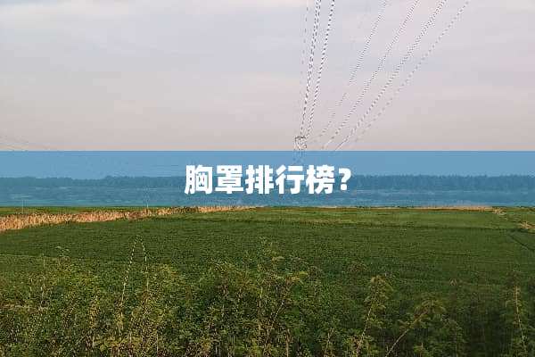 **排行榜？