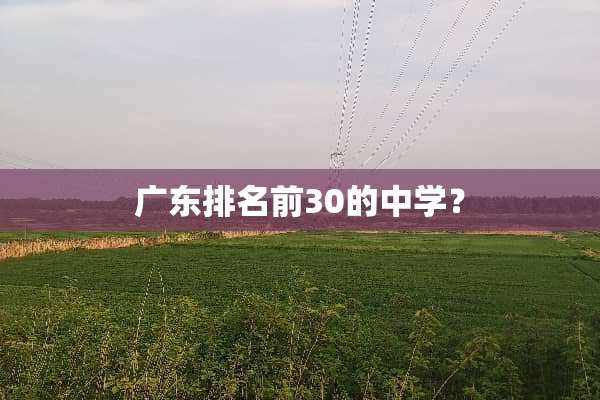 广东排名前30的中学？