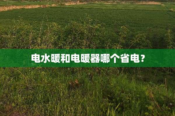 电水暖和电暖器哪个省电？