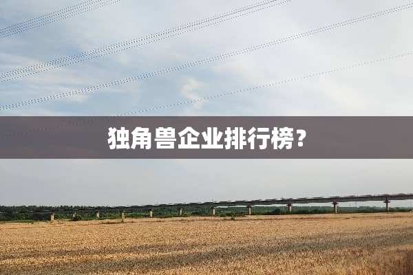 独角兽企业排行榜？