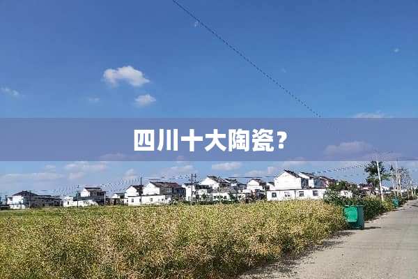 四川十大陶瓷？