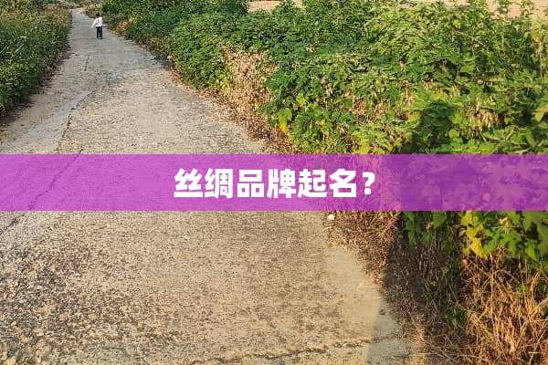丝绸品牌起名？
