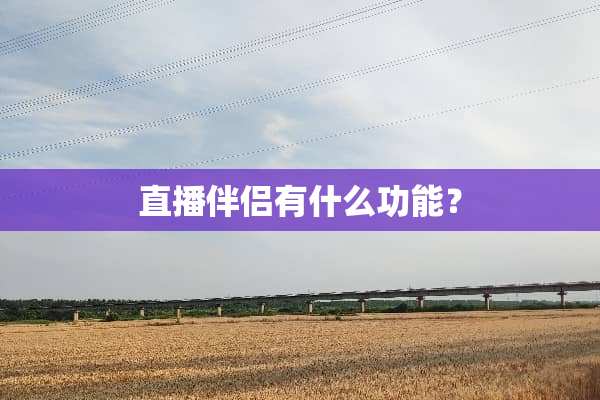 直播伴侣有什么功能？