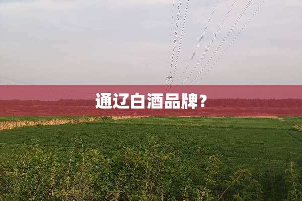 通辽白酒品牌？