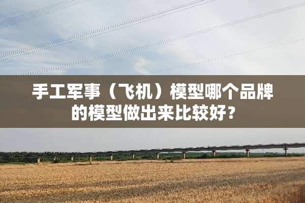 手工军事（飞机）模型哪个品牌的模型做出来比较好？