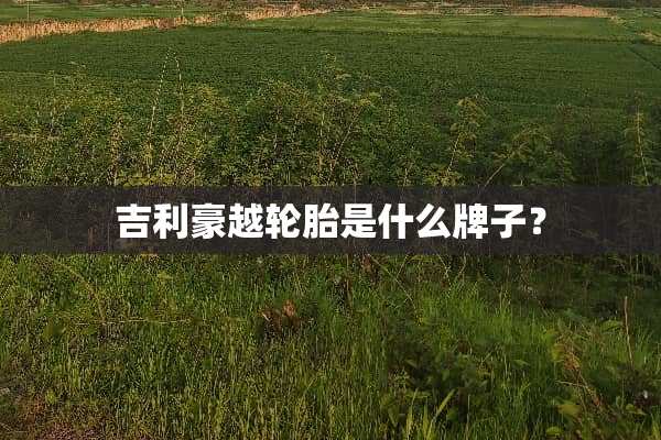 吉利豪越轮胎是什么牌子？