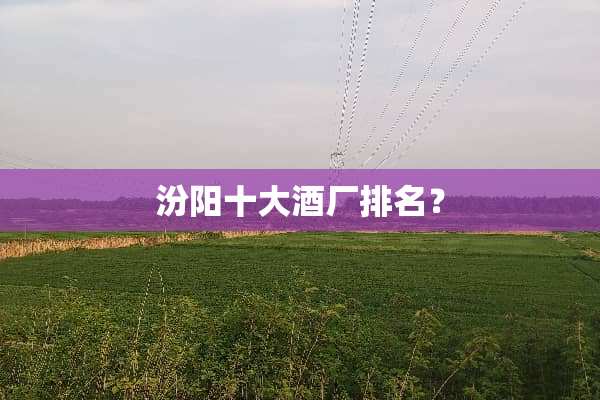 汾阳十大酒厂排名？