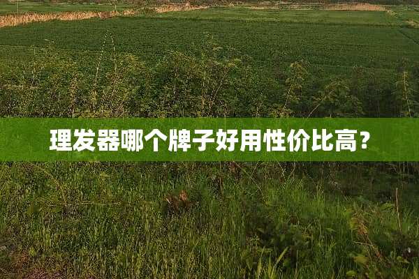 理发器哪个牌子好用性价比高？